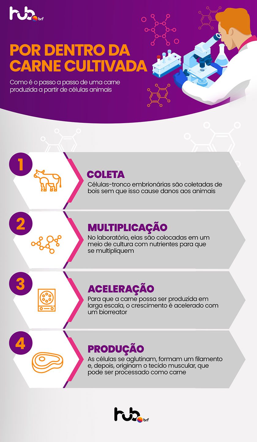 Por dentro da Carne Cultivada, Como é o passo a passo de uma carne produzida a partir de células animais.